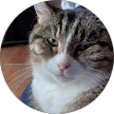 Avis Peinture Design Décoration Dunkerque - Joel Huchette