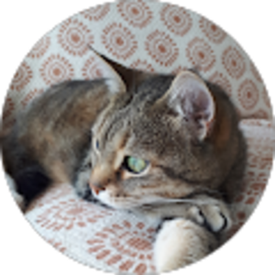 Avis JT 33 Serrurier Bordeaux - Bérengère Audouin