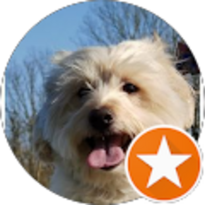 Avis Aéroclub du Giennois - Céline LUCIEN