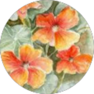 Avis Anne-Laure FABIN / Naturopathe - Astrid Cazaumayou