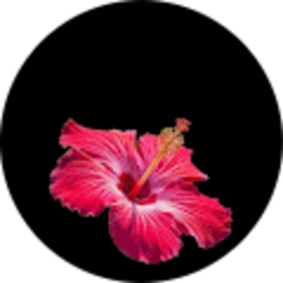 Avis JT 33 Serrurier Bordeaux - Oumy Dmg