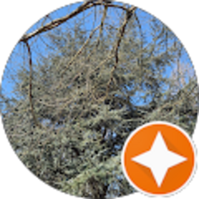 Avis DASSI ELECTRICITÉ - Maria