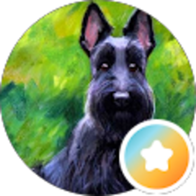 Avis Renaissance Energetic - Marie_Pierre Bm