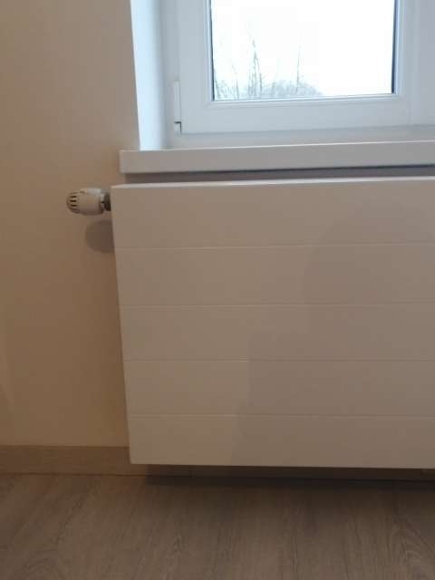 img_20190315_0936311