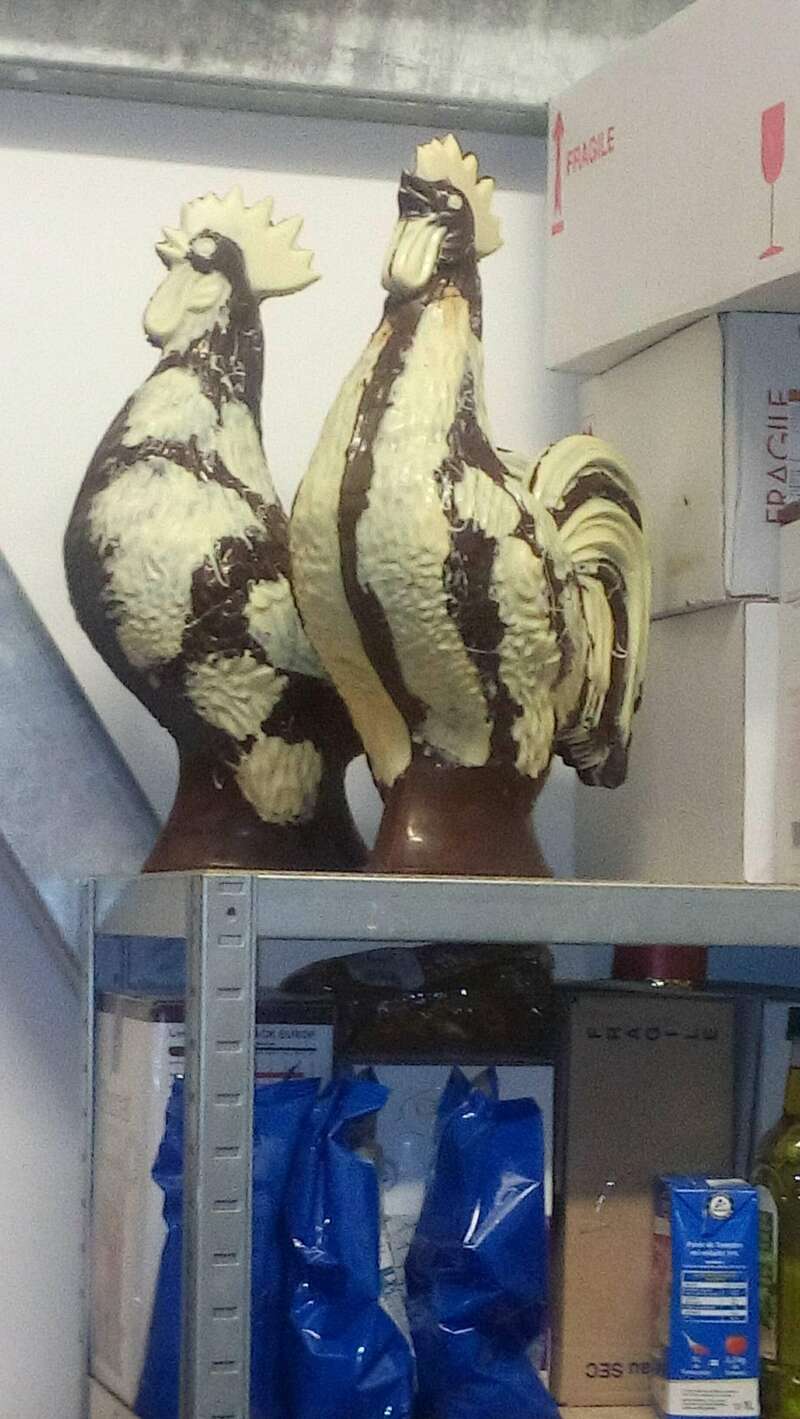 20190329_04563120211115-2127190-1psq6d1