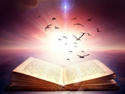 Quelle différences entre Rêve Éveillé Libre et Hypnose ?