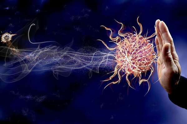 Notre système immunitaire, un incontournable