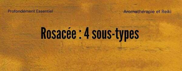 Instants chroniques : Rosacée, 4 sous-types