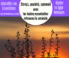 Webinaire : Stress, anxiété, troubles du sommeil, retrouvez la sérénité avec les huiles essentielles