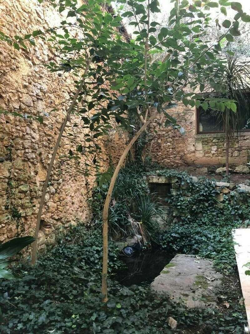 u6cukgwn53_1606725419