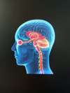 Votre cabinet de Neuropédagogie à Cestas de Noelle Gonzalez