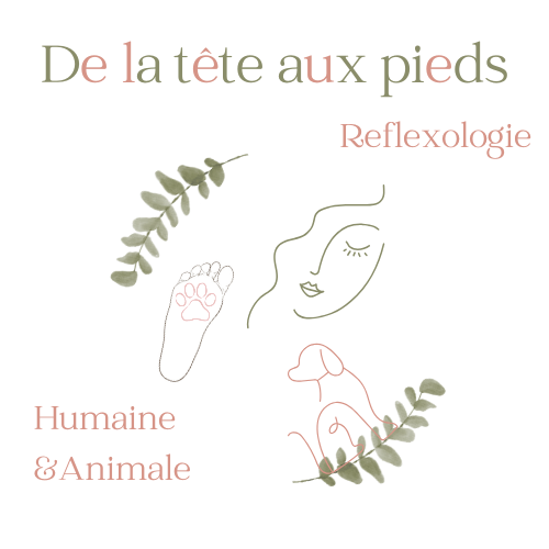 Logo De la Tête aux Pieds Logo De la Tête aux Pieds