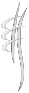 Logo AFC, Association Française de Chiropraxie
