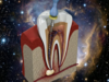 Qu'est-ce que l'endodontie ? Dr Eva MIGUET