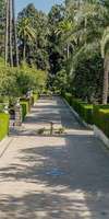 Les Terrassiers Associés , Création et aménagement de jardins à Sanary-sur-Mer