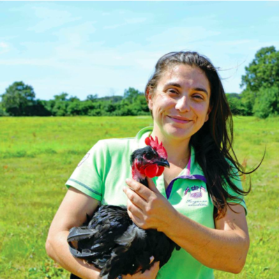 Anisia Marchand le champs des oiseaux