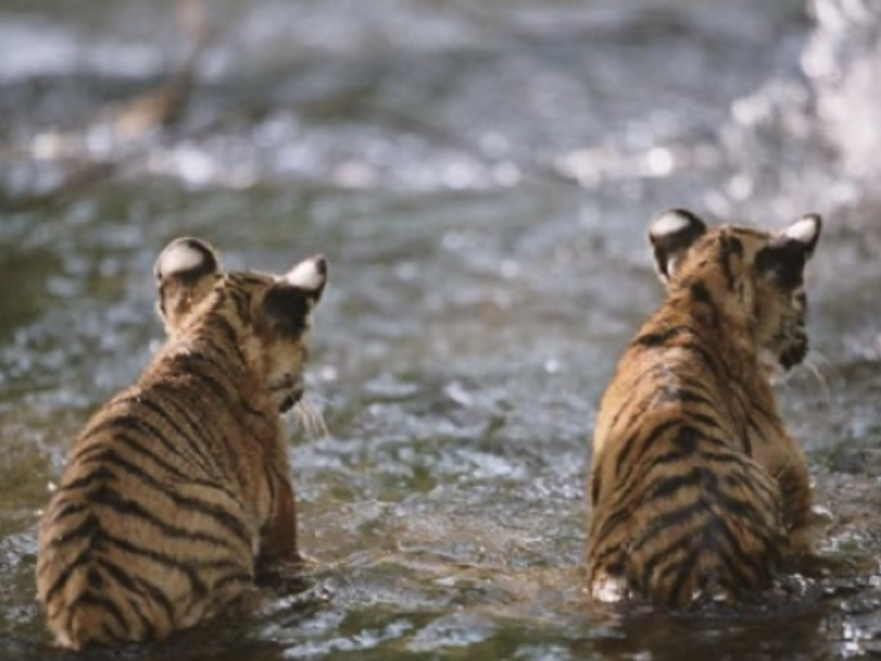 capture_d_ecran_2023-02-23_a_09-54-11