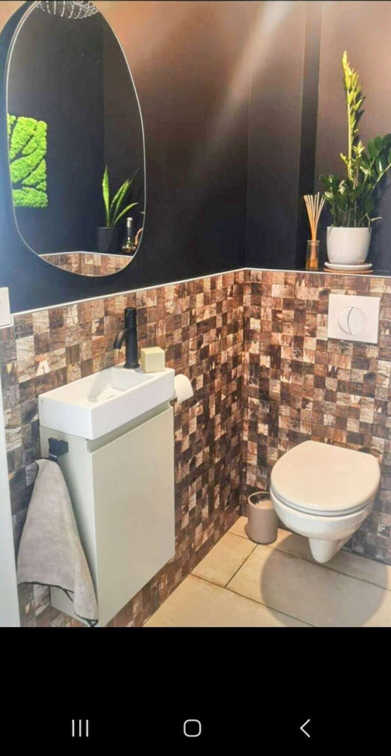 2024-09-2120251020-1881567-qyvkk0