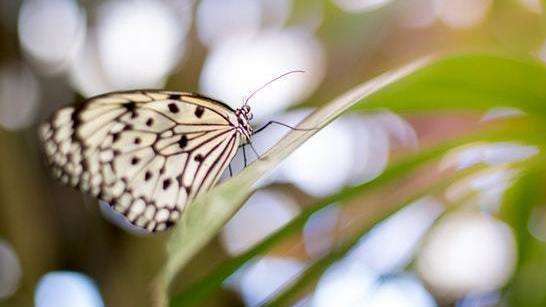 L’énergie, complice de votre transformation