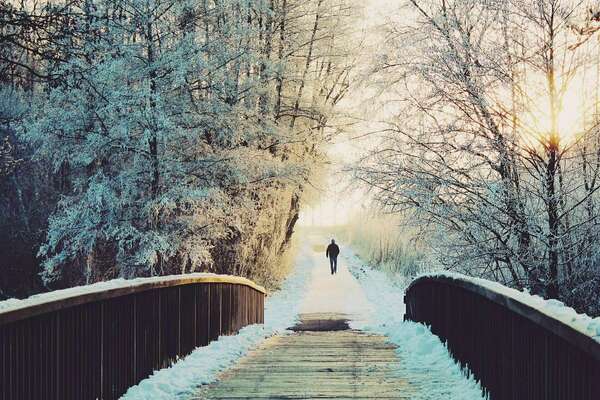 Fleurs DE Bach, pour bien passer l'hiver.