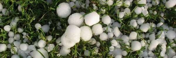 Communiqué de presse - Orages de grêle du 15 juillet : le député et les élus du sud du Rhône soutiennent les agriculteurs !