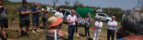 Orliénas, Millery, Saint-Symphorien-d'Ozon - Rencontres aves les producteurs sinistrés de l'orage du 15 juillet