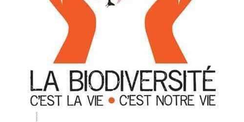 #OPECST - Conseil d’Orientation Stratégique de la Fondation pour la Recherche sur la Biodiversité