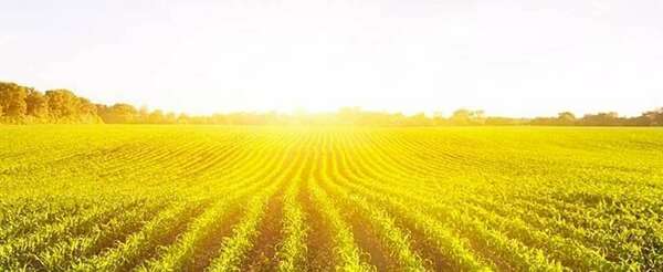 [Communiqué de presse] - Plan de sortie du glyphosate