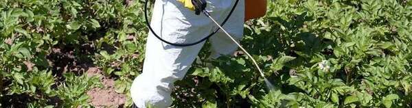 #Glyphosate - Mission d’information sur la sortie du glyphosate : matinée d’auditions de la FNSEA et de l’ACTA