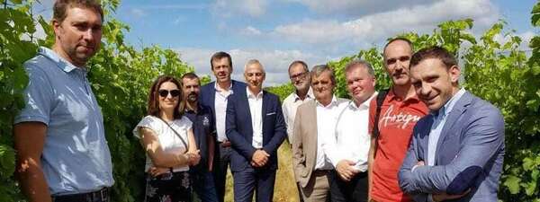 #Glyphosate - Déplacement en région bordelaise de la Mission de suivi de la stratégie de sortie