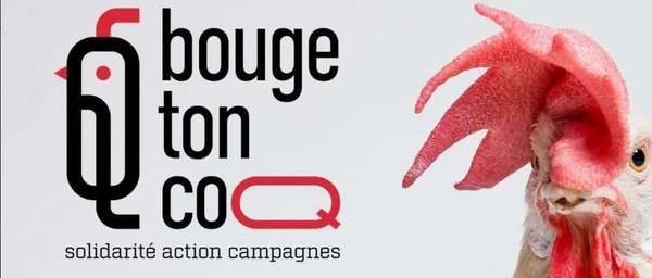 Covid-19 - Audition AMF et AMRF - "Bouge ton Coq"