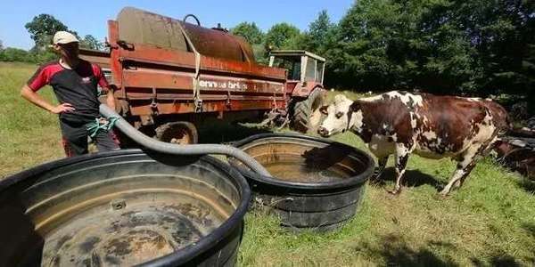 [Tribune Presse] - JDD - Face à l'agribashing, soutenons nos éleveurs !