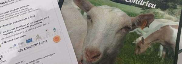 #Condrieu - Assemblée générale de l'AOP Rigotte