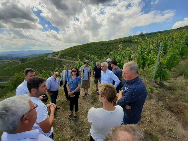 209715222_896556450923312_4020062441158601082_n