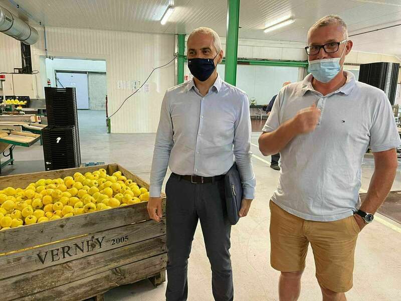 209871071_896557204256570_7973332797491836867_n