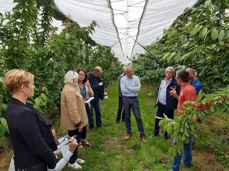 210741731_896556820923275_9122322629494181203_n