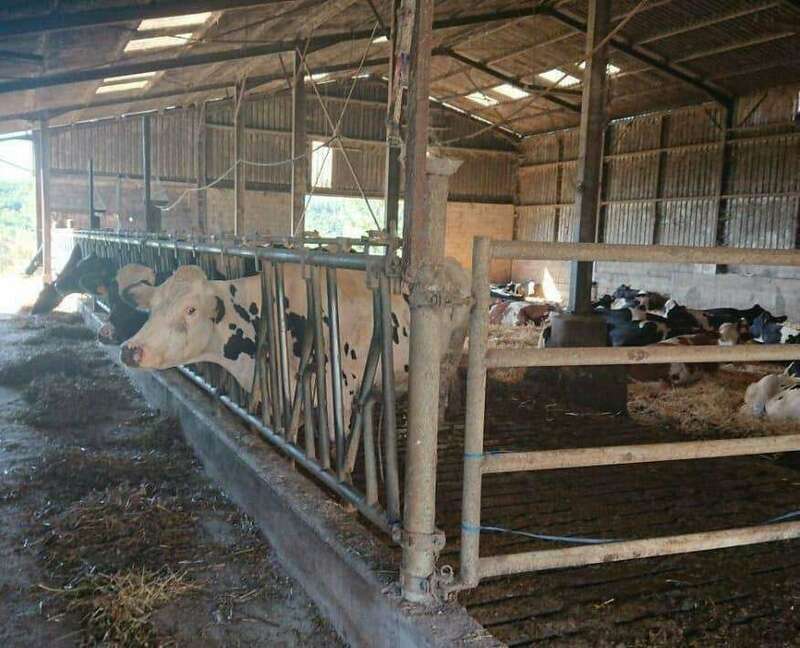 207187101_896928337552790_3756217209097387638_n