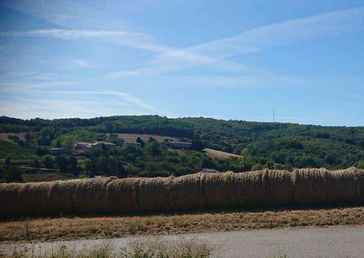 210332270_896928454219445_1676826534193350956_n