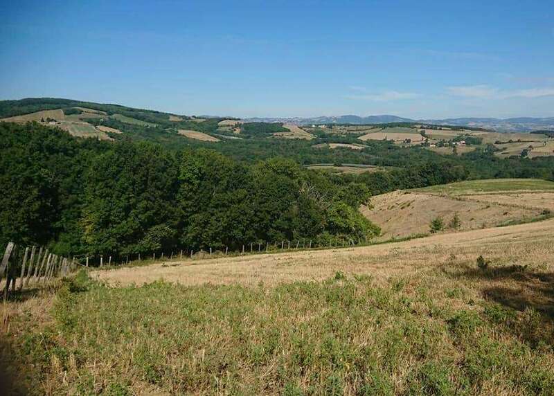 209695556_896928217552802_7647744827480646585_n