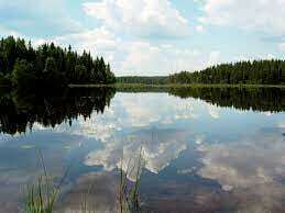 212688626_899051767340447_1510934109810812543_n