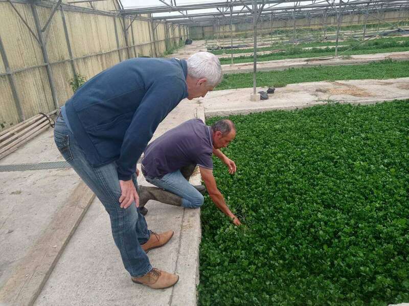 212876436_902746960304261_8615736674579725891_n