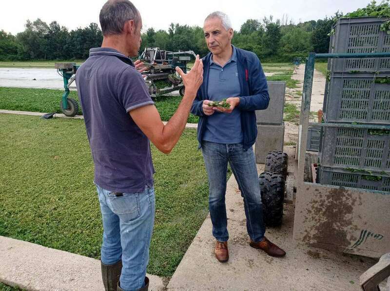 216330793_902746816970942_2053187809568290691_n