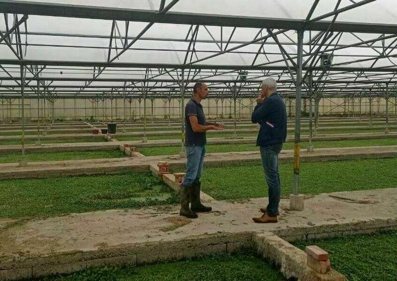 216235861_902747160304241_1836629719819591651_n