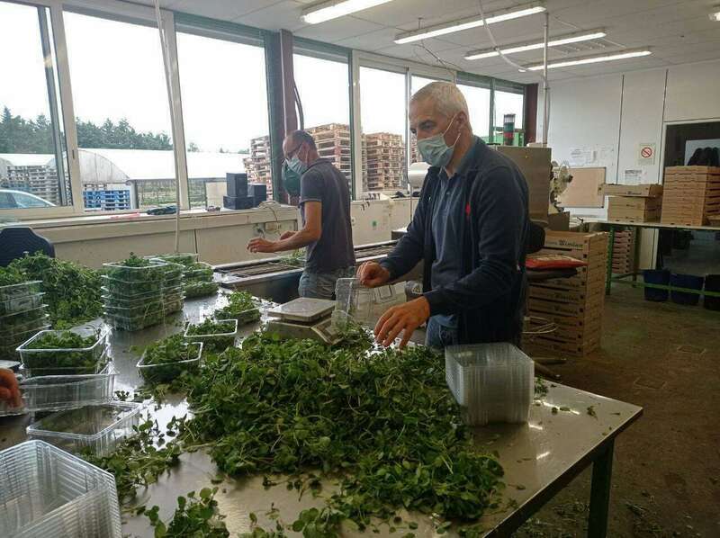 217040610_902746996970924_7753428810190138413_n