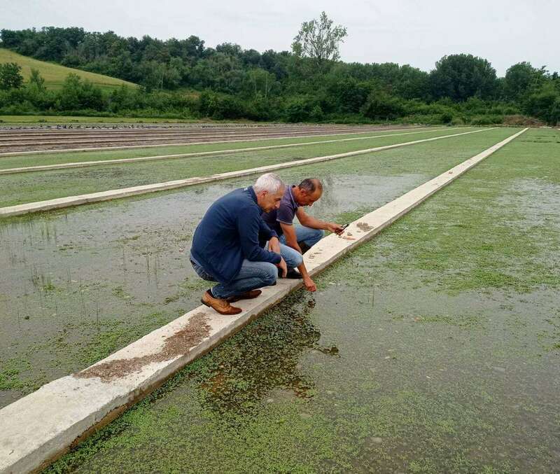 217034388_902746863637604_4642440672982662182_n