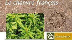 218101304_905610606684563_6554967834298807677_n