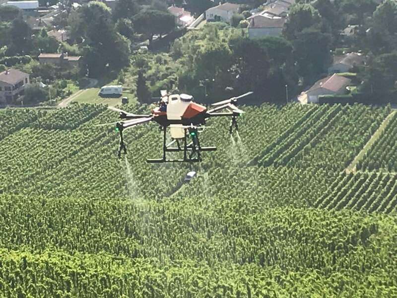 214976053_906957069883250_6051427530673127661_n