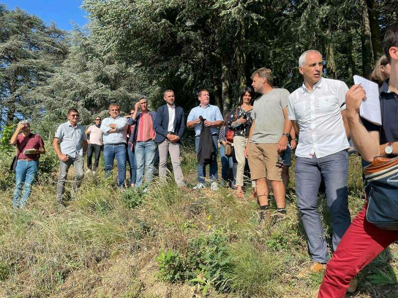 218967109_906958223216468_7542668368655853510_n