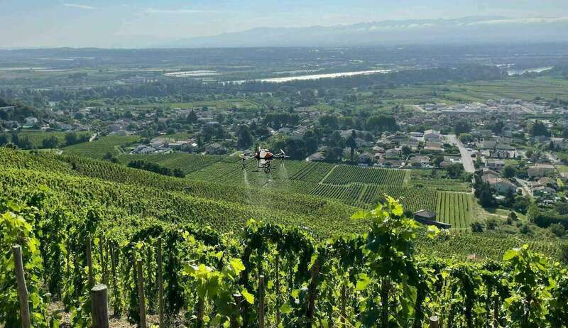 219746132_906957589883198_2776827322491689827_n