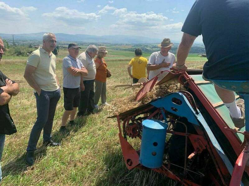 220016905_907258473186443_6957359962844227109_n